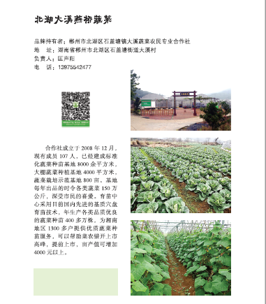 郴州市北湖区石盖塘大溪蔬菜农民专业合作社