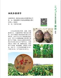 临武县永盛农业发展有限公司