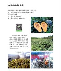 临武优品园蔬菜种植专业合作社