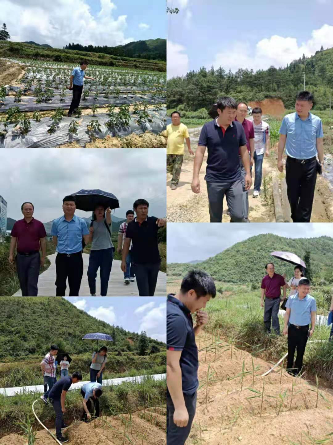 郴州市蔬菜应急储备调控中心,郴州蔬菜储备调控与基地建设